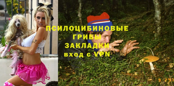 винт Куйбышев